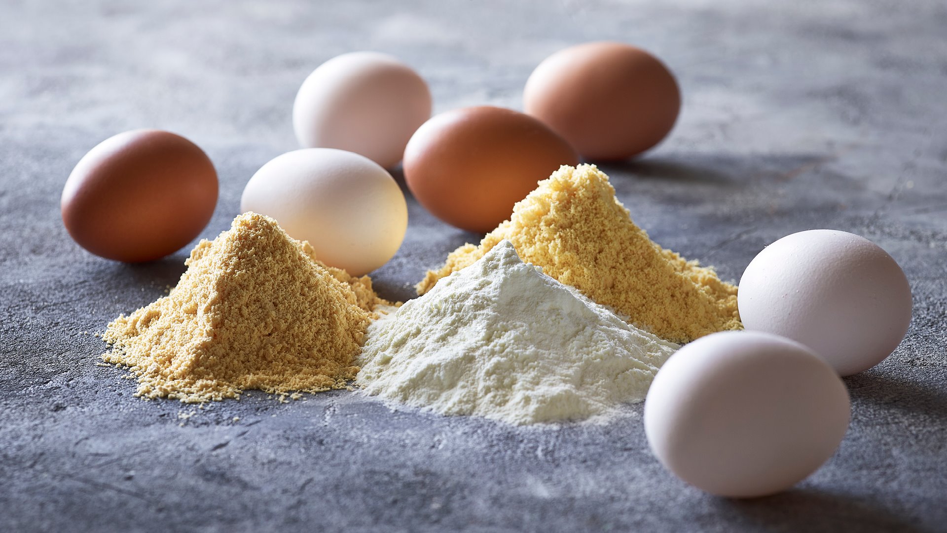 Egg Powder Market